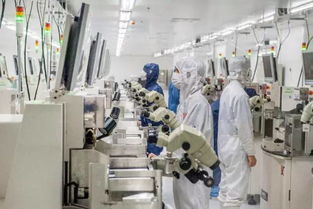 省委书记与省长亲临湖头光电园指导工作，园区发展成就瞩目